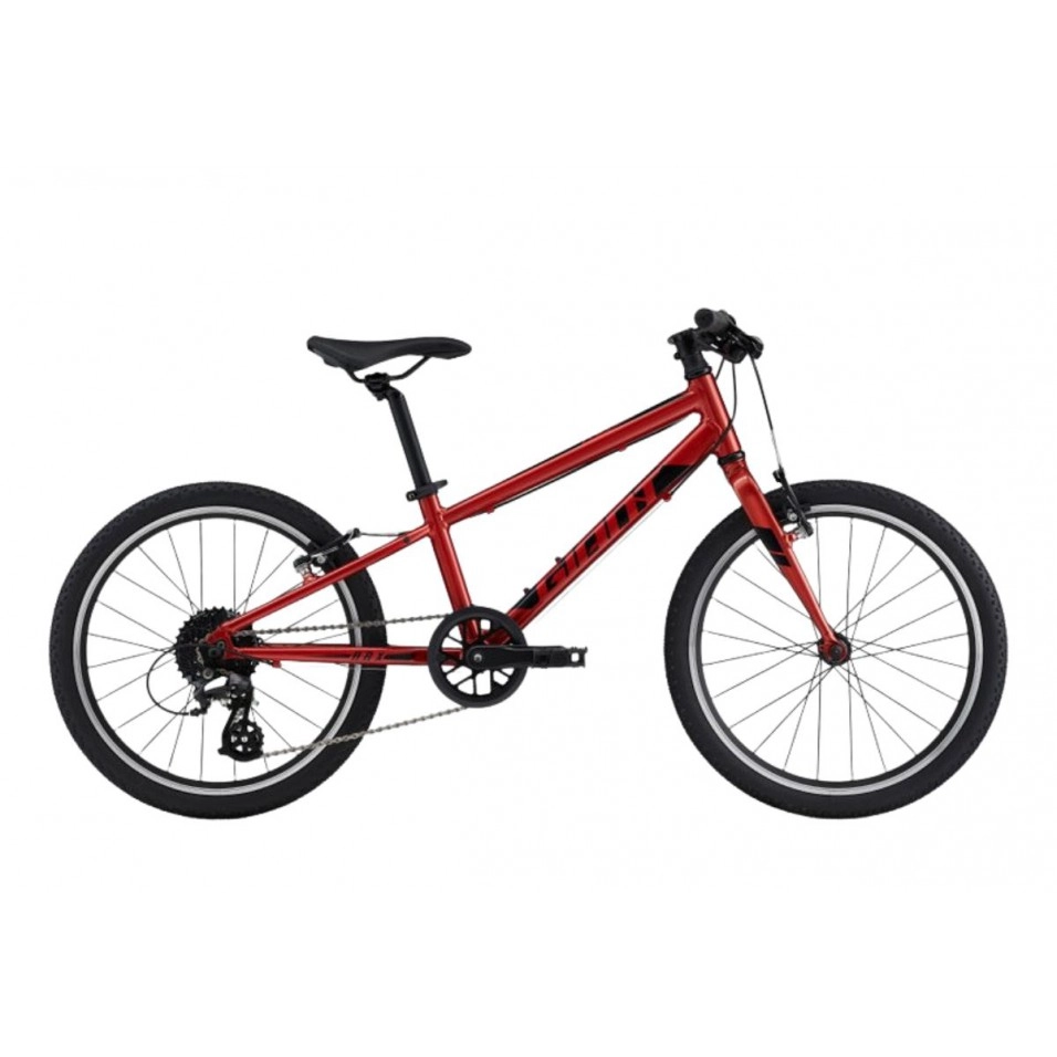 Bicicleta Giant ARX 20 1 Bicicleta Giant ARX 20