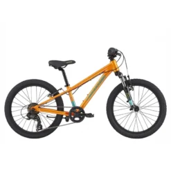 Bicicleta Cannondale Kids Trail 20